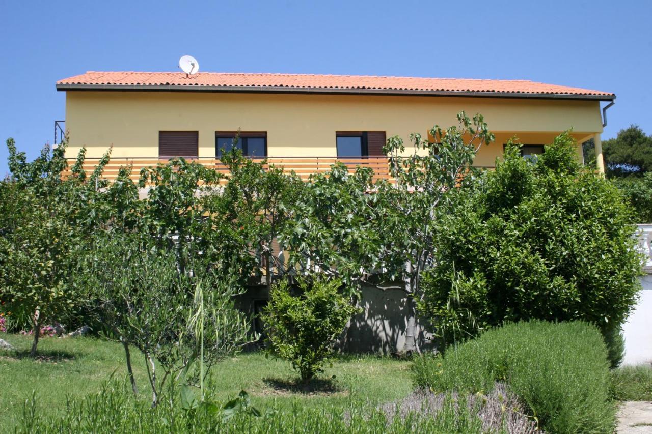 Apartments Suha Punta - Villa Babalonija Kampor Oda fotoğraf